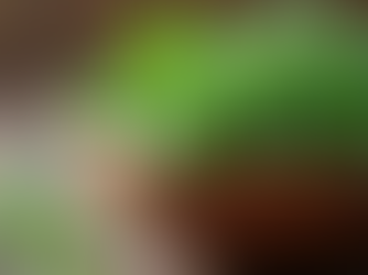 Unlocking the Benefits of Natural Herbs