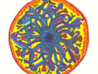 Treasures of the sea