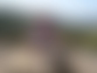 Hara-finding your center