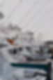 on the docks _edited.jpg