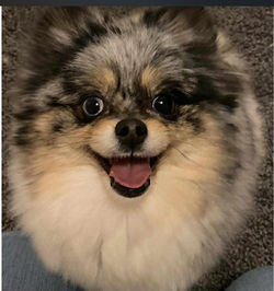 2fe142e4-0776-479f-a3ca-3ab315d1537a