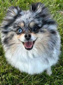 62c10e82-9080-4252-a008-7760758b6ca0