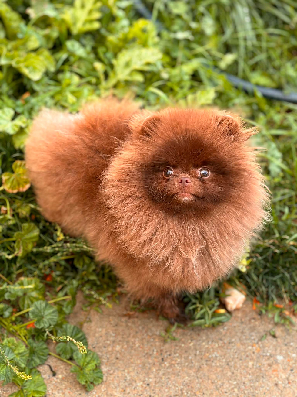 189cf158-5526-4ebd-80e6-889ac461d736