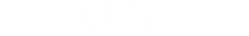 white_hyundai.png