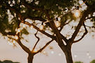 luzes_6_50668-162575835140928.jpeg