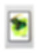 Green Lego Ninjago Lloyd Spinjitzu Splatter Print