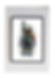Lego Star Wars Boba Fett Splatter Print