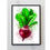 Thumbnail: Red, green, radish, vegetable, vegan, food, lover, kitchen, dining, chef, cook, splatter, print