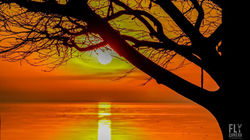 46872006_2252696571664345_14979319540020