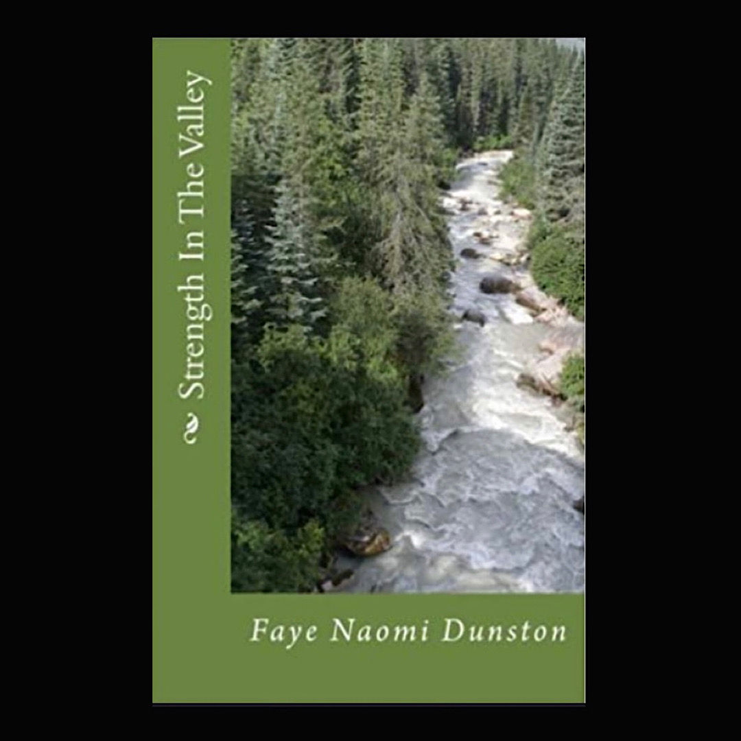Strength In The Valley Book