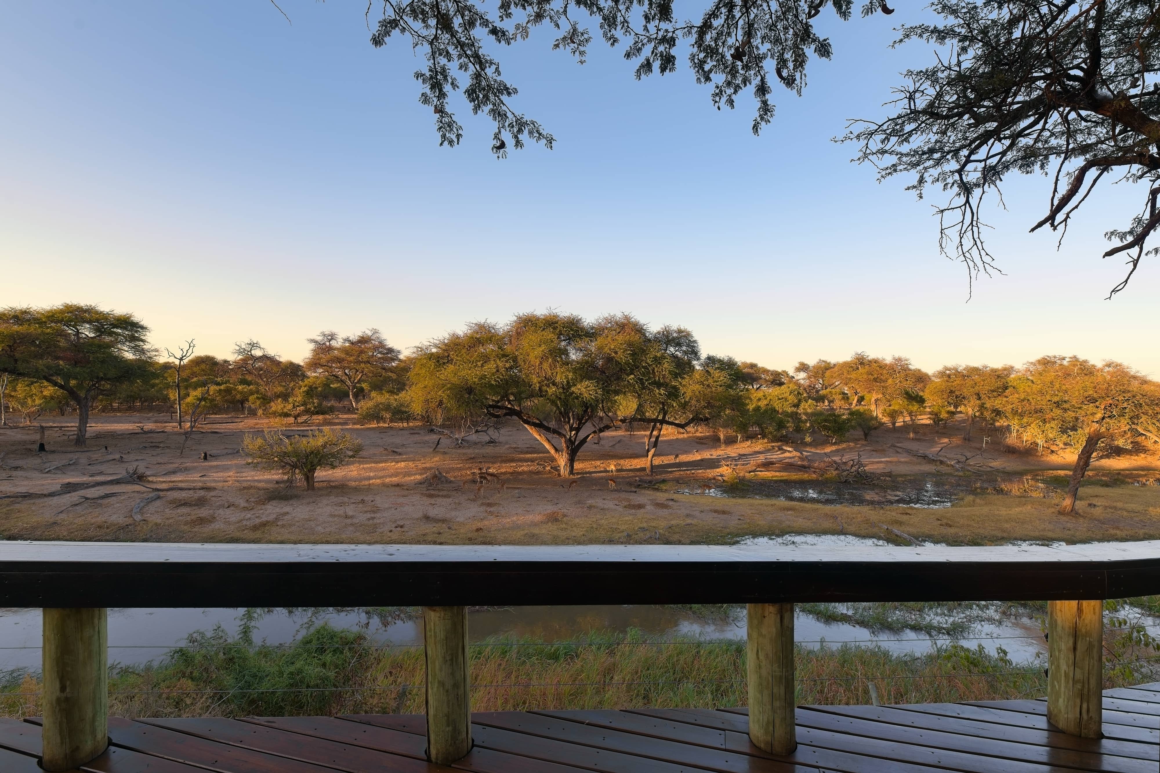 The view seen from the deck at Mogotlho was shot in the early morning to photograph the golden light.