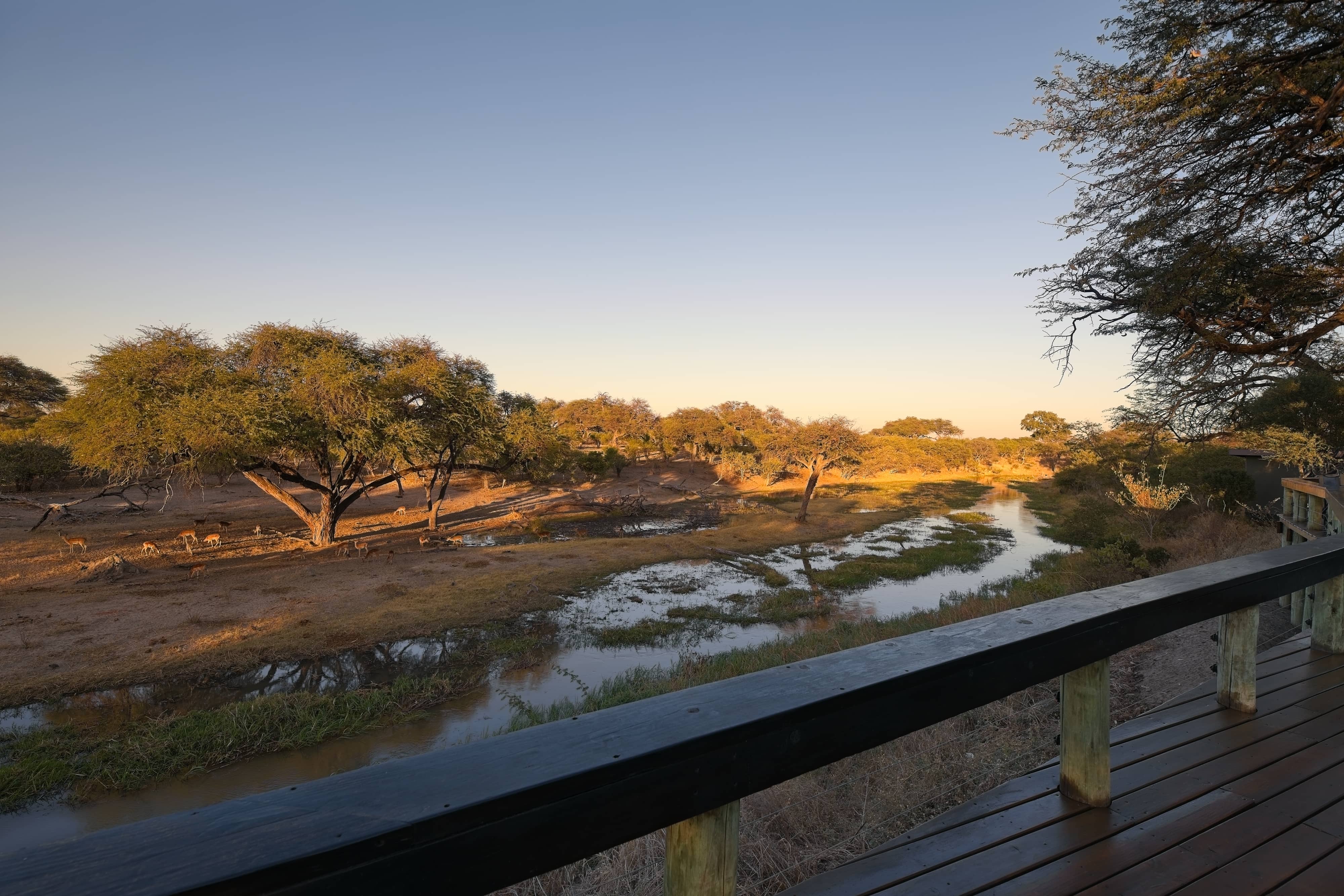 Photographed by Kai at the golden hour to make use of the beautiful light.