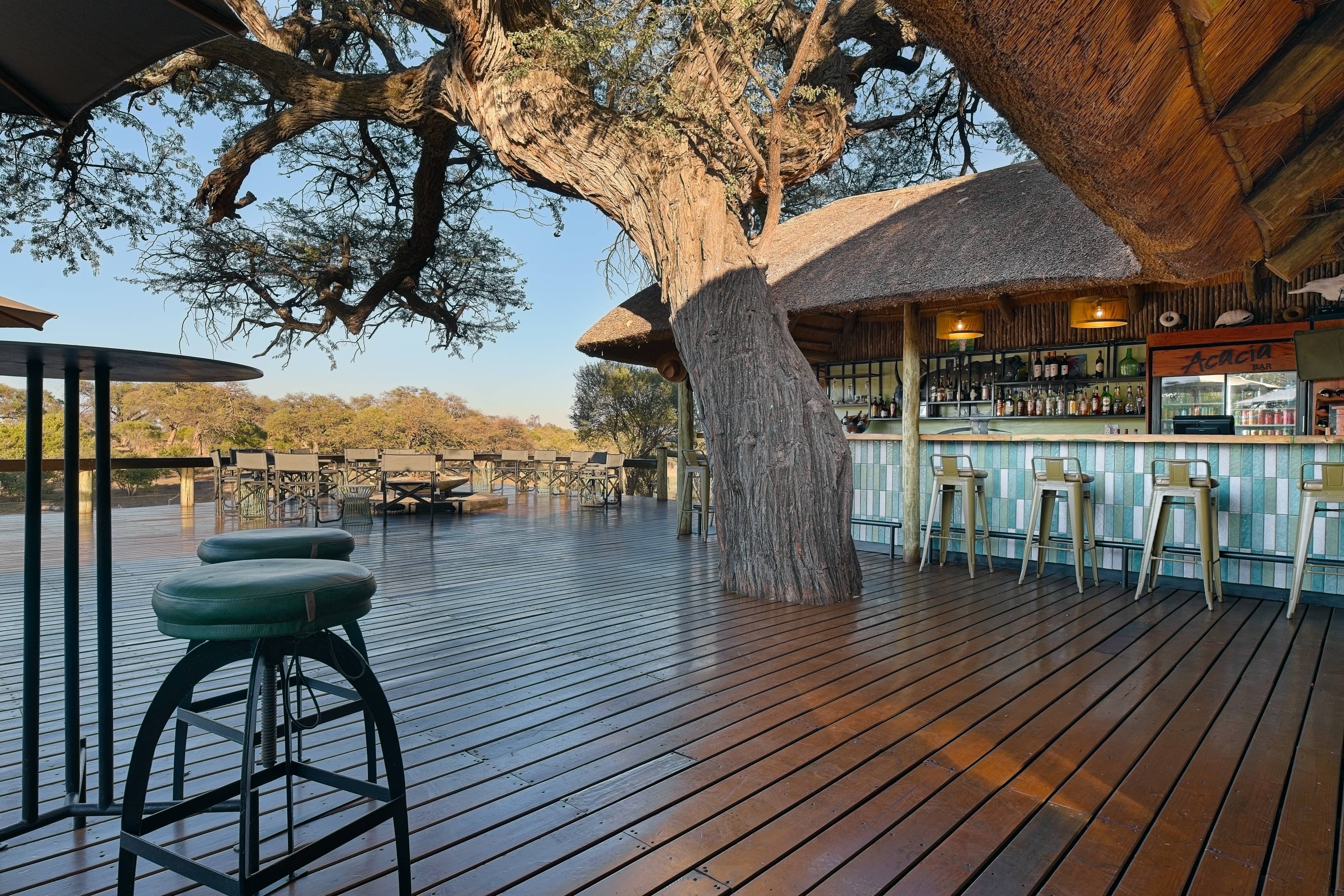 Photo of the lodge bar with a big tree extending over the deck