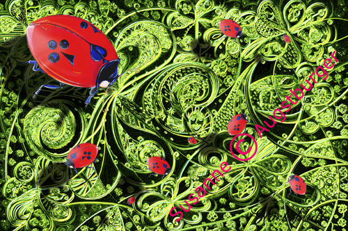 LADYBIRDS