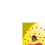 Miniaturbild: HEART ATTACK