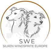 LOGO__braun_1.png