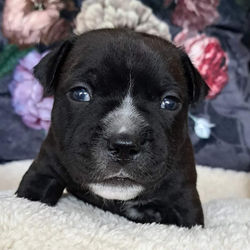 05.05.2023 / 20 Days