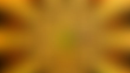 ReInvestWealth Accounting Software Milestone