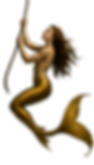 Design sans titre (61).png
