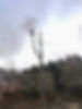 photo chantier _edited.jpg