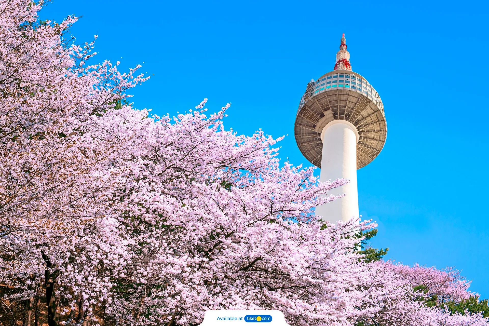 N Seoul Tower