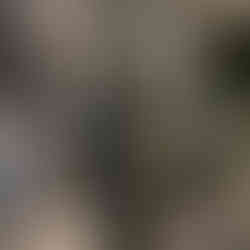 A museum setting with a black curved structure in the middle