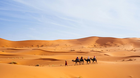 People riding camels across vast orange sand dunes under a clear blue sky. A guide walks ahead, creating a serene desert scene.