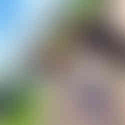 A group of friends taking a selfie at Universal Studios in Singapore