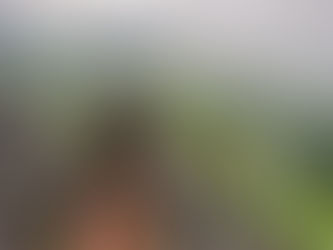 Man on a motorcycle with a flag pauses on rocky hill, overlooking lush green valley and mountains under cloudy sky. Rugged adventure scene.