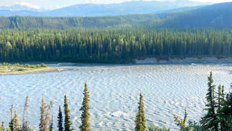 What to expect on Princess Cruises 3 day Land Tour of Alaska, USA