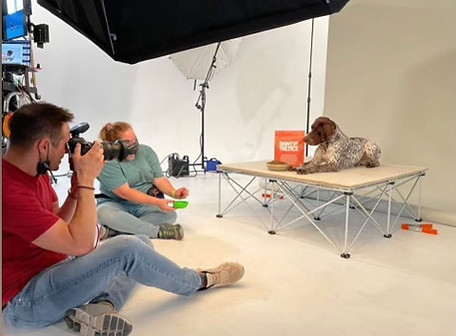 olivia working with a dog during a photoshoot.jpeg