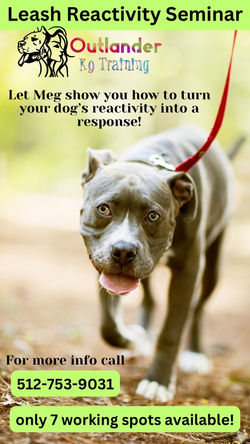 Leash Reactivity Seminar