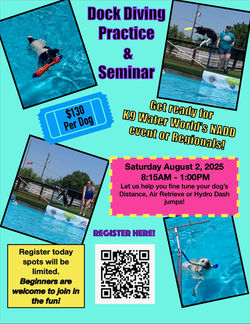 dock diving practice and seminar