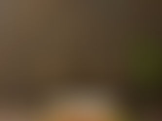 Why the Dietary Laws Still Matter: Understanding What Is Clean and Unclean