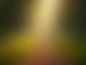 De Belang van Spirituele groei boven Politiek en Relegie die Heersen met volks manipulatie