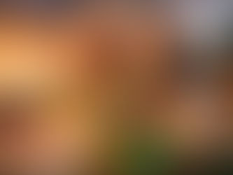 Chikungunya grijpt om zich heen: Suriname vecht tegen een stille vijand