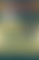 Redesigned “Our Mission” page featuring the festival’s mission and value statements, a nonprofit IRS verification image, a heart-shaped community visual, and a call-to-action to join the Peacemaker mission.