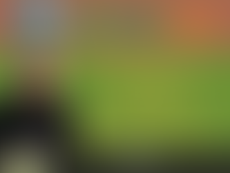 Ward 3 Food Giveaway | Forest Park, GA | Clayton County, Georgia