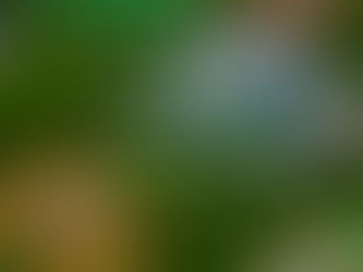 WOW. Egg My Yard *FREE* by Tisha