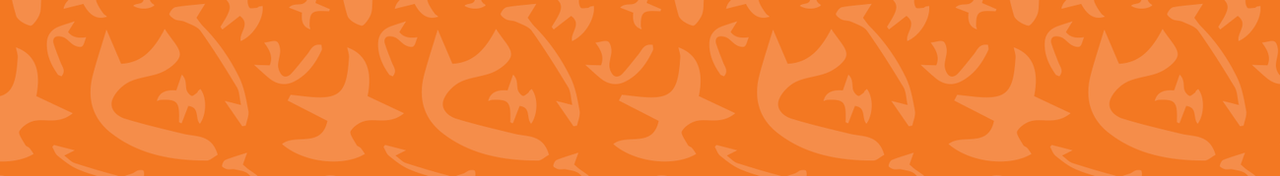 masthead-pattern.png