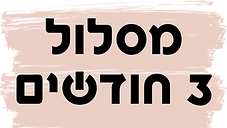 מסלול 12 חודשים
