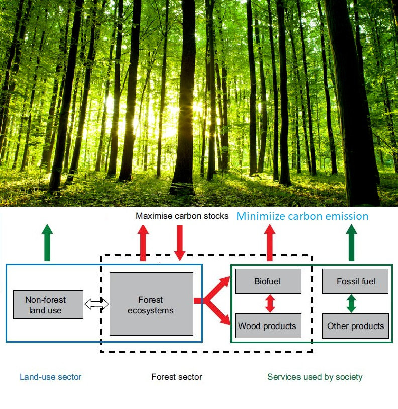 interactions_between_the_land-use_sector