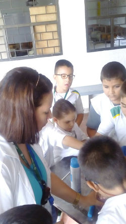 MAESTRA LÍDER EXPERICIENTES 2017