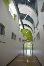 Tectum panels, custom wall panels