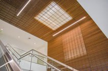 Rulon wood ceilings and walls, custom ceilings