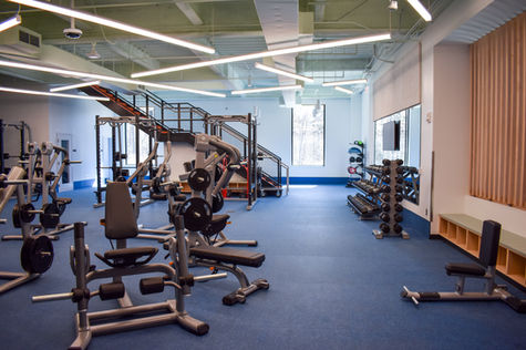 gym renovation, custom lighting, ceilings, autex blades