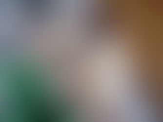 J’avais envie d’essayer...