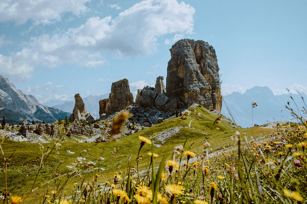 Cinque Torri en Dolomitas (Italia) vista desde Rifugio Scoiattoli a ras de suelo con un primer plano de flores amarillas en un día soleado