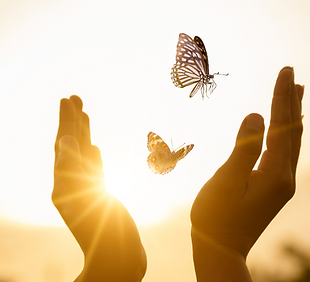 Website Services IAM (1).png