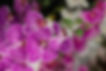 ©Artificial flowers collection by KWIATOLANDIA
